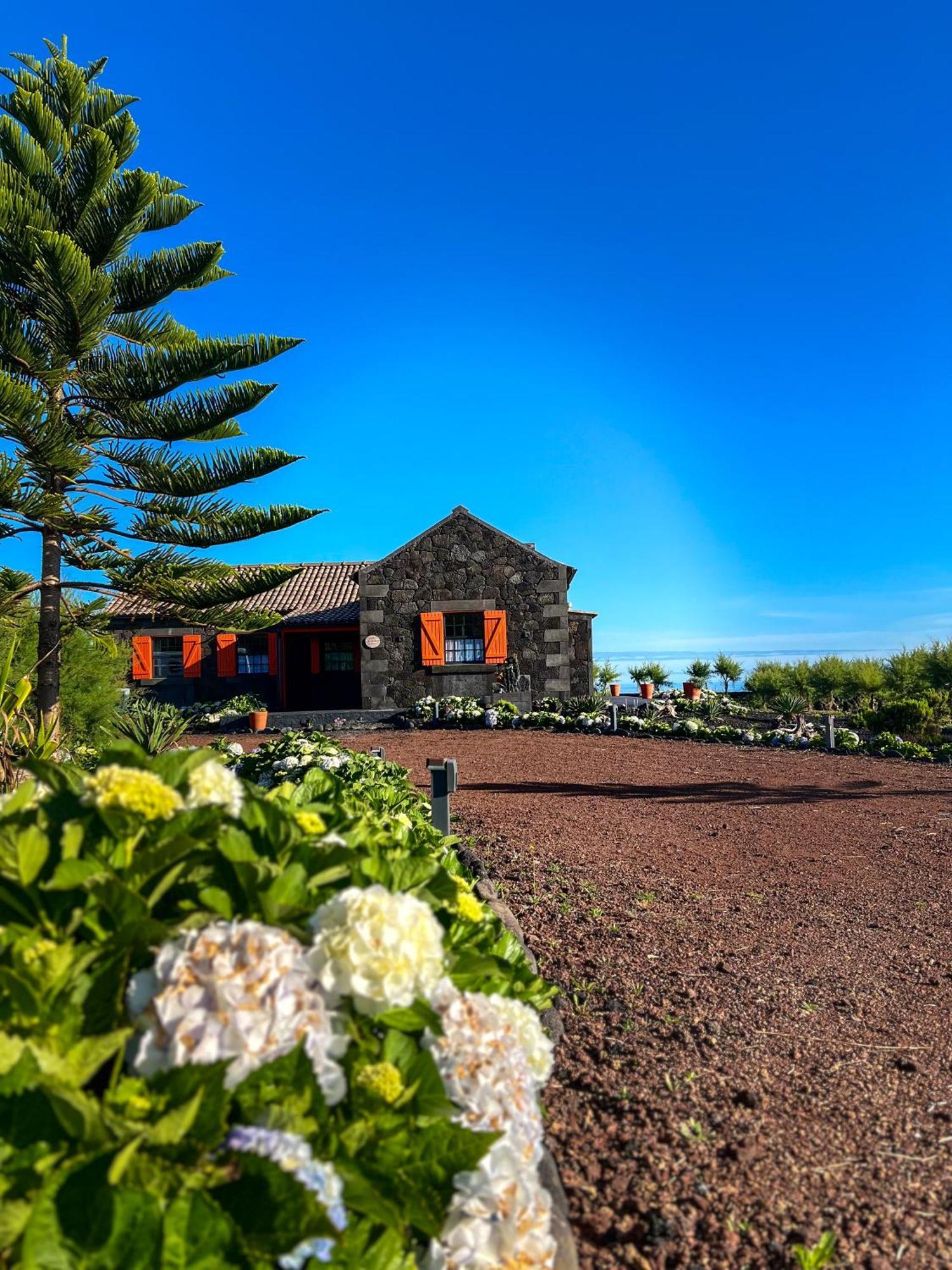 Casa Baleia Laranja Ocean-Front Villa Madalena  Buitenkant foto